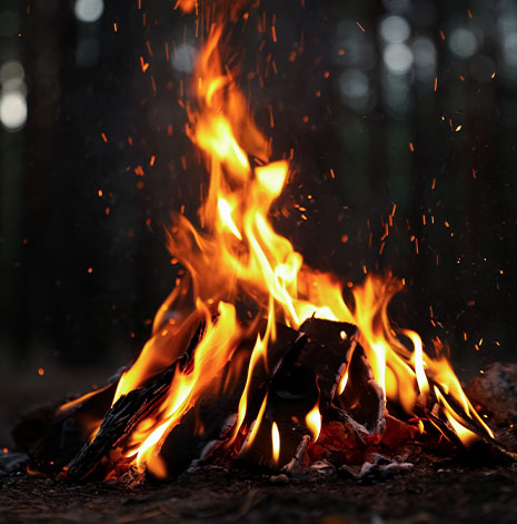 firewood featured image firewood featured image