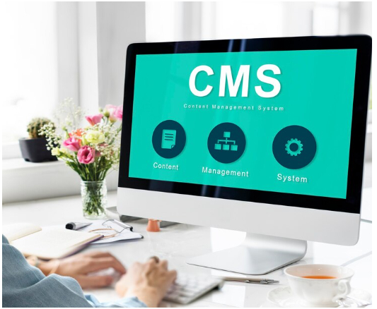 Web Developer 7 Cms Development Web Developer Services Astoundz Seo Web Ppc Social