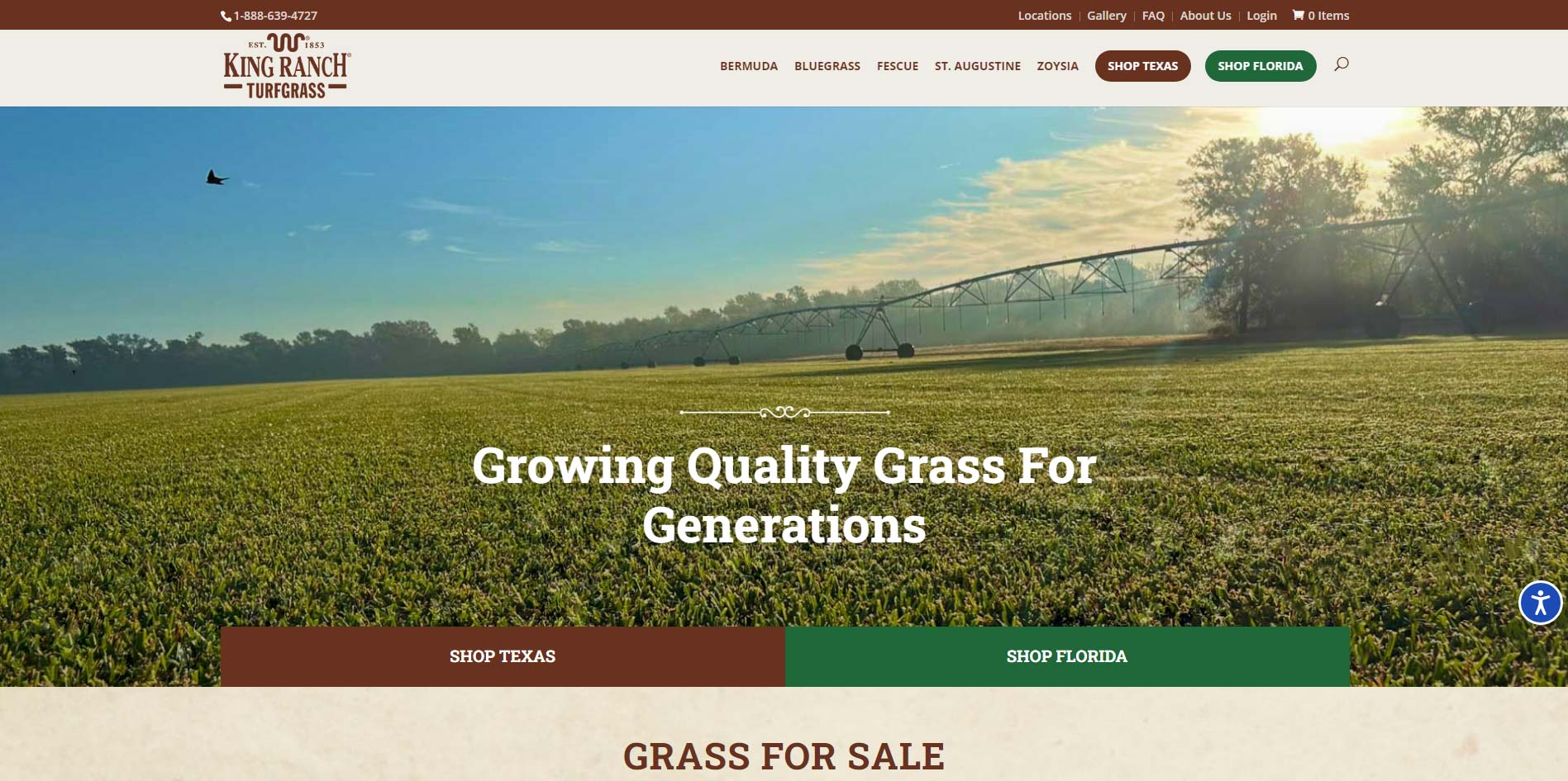 King Ranch Image